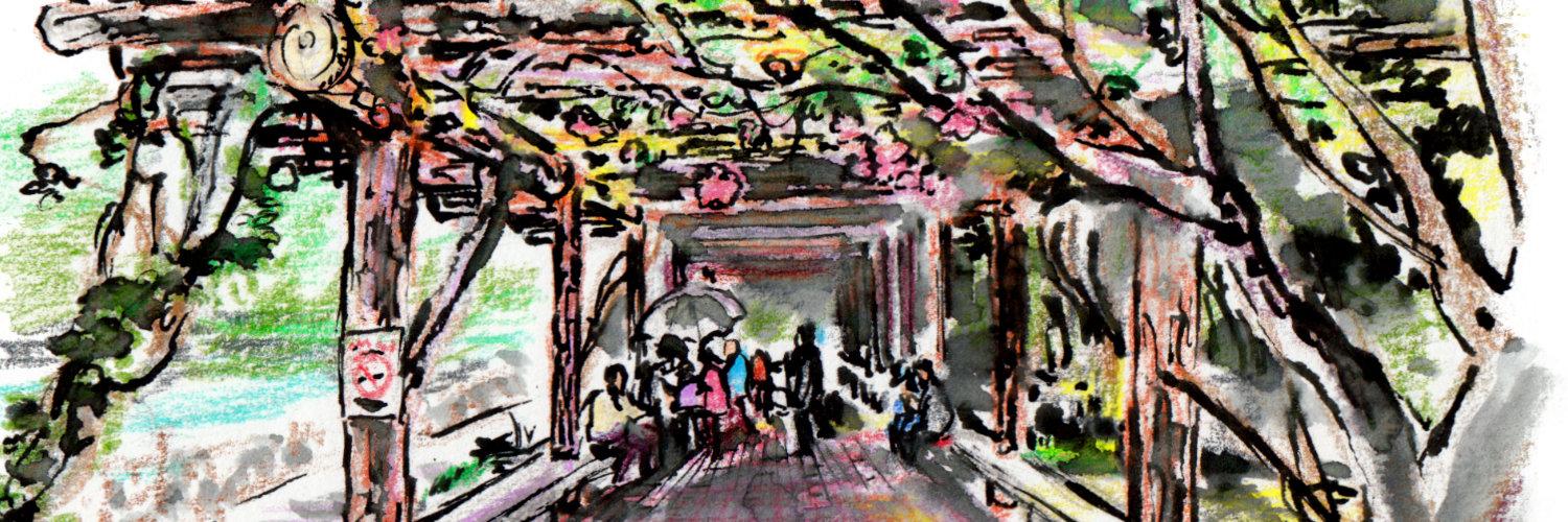 maiji's profile header