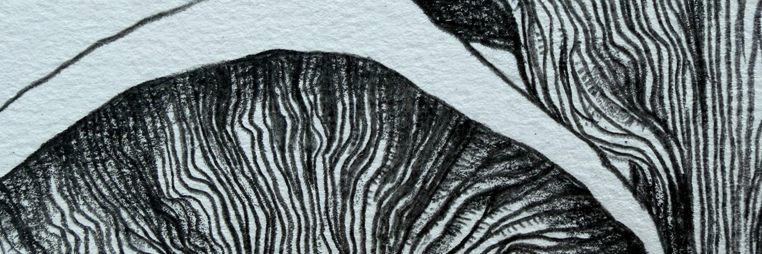 Mndah's profile header