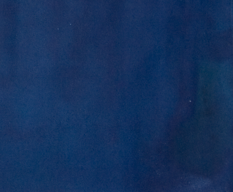 LearnGraspShow's profile header