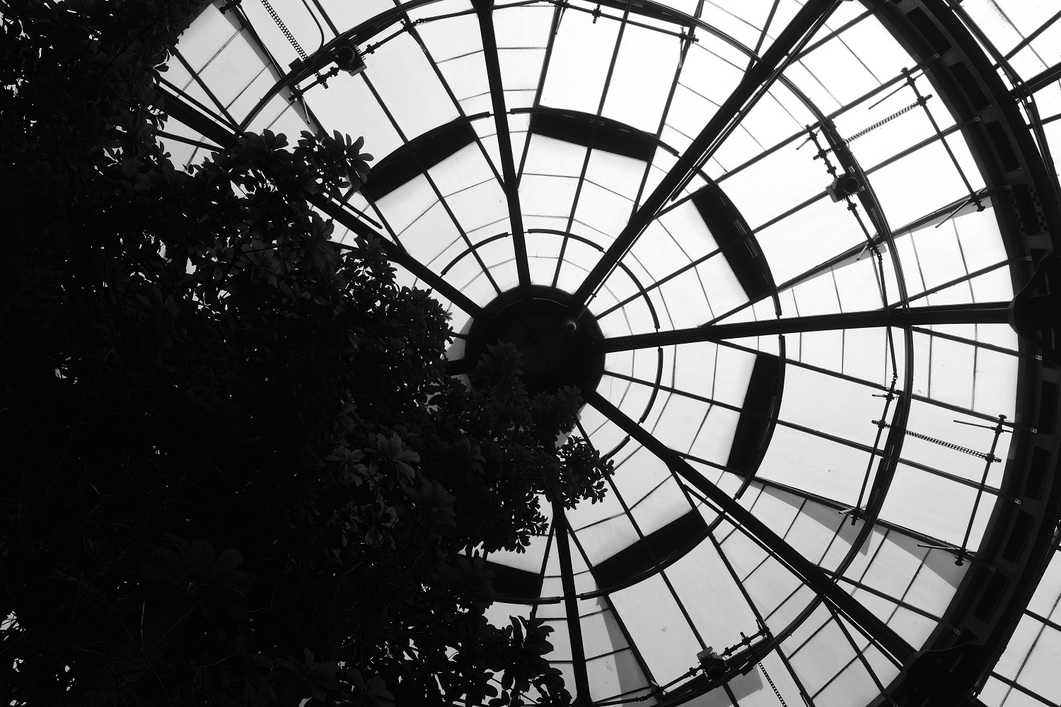 kyuu's profile header