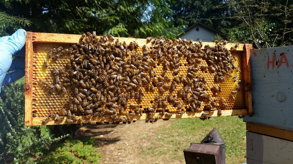 TheJohnWeber's profile header