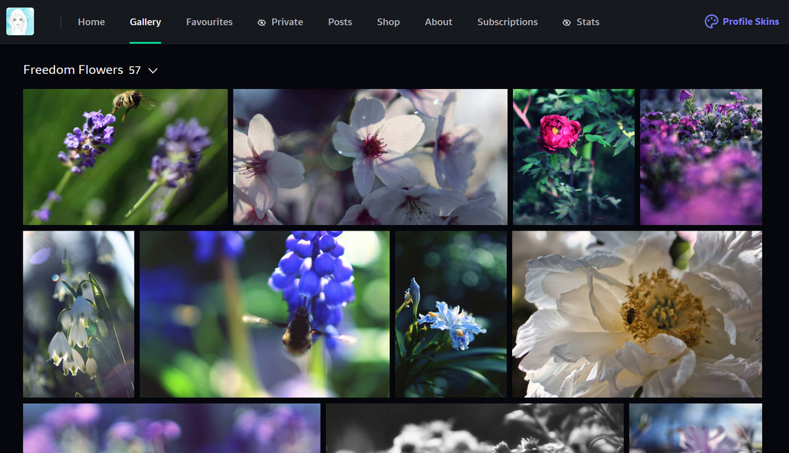 Header Image