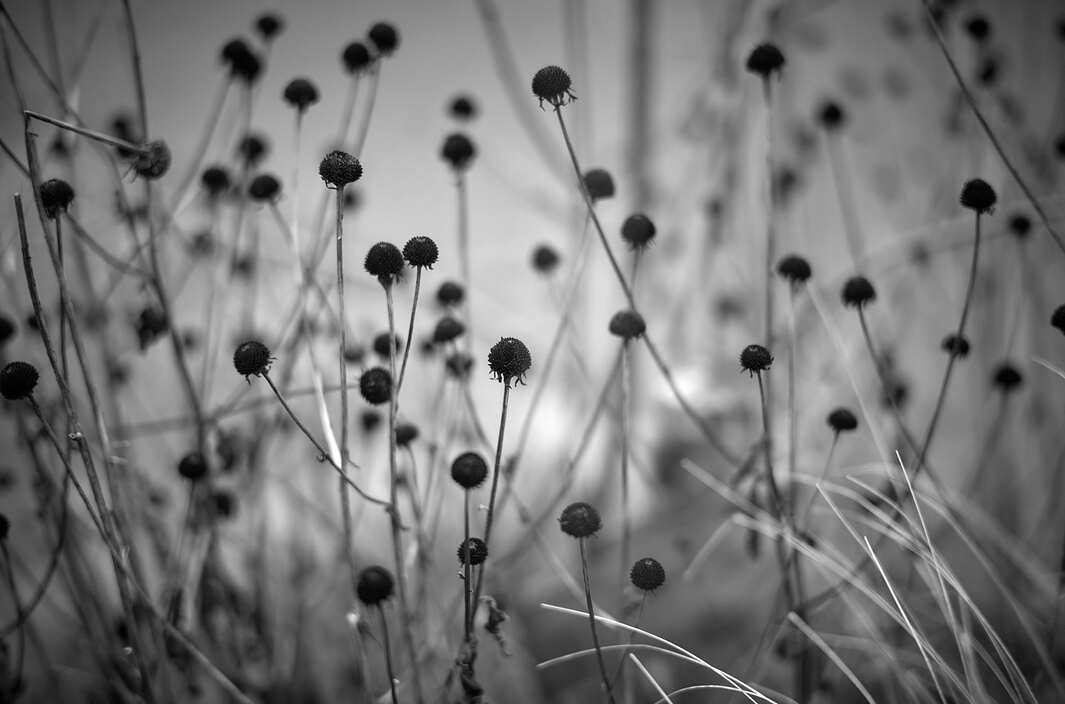 pauladieterman's profile header