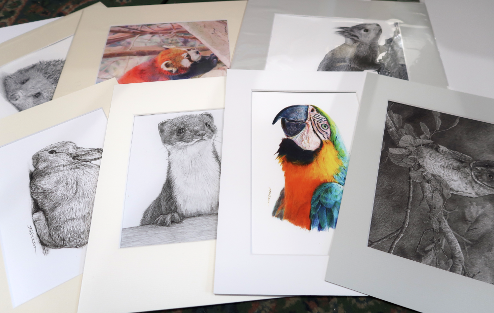 iseriksonartist's profile header