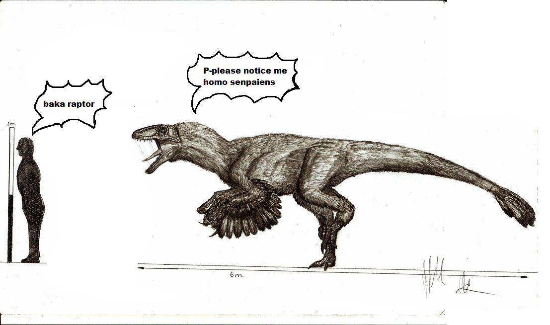 jestercharm's profile header