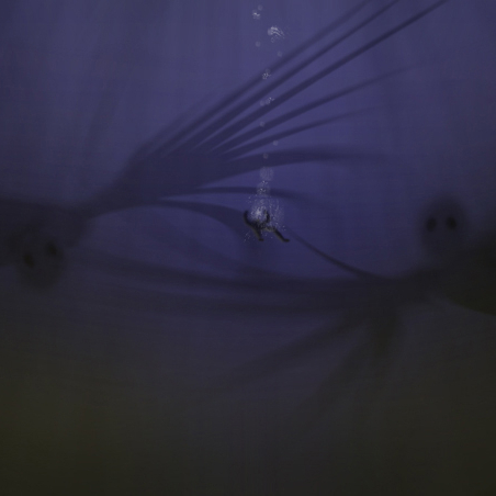 machiavelli33's profile header