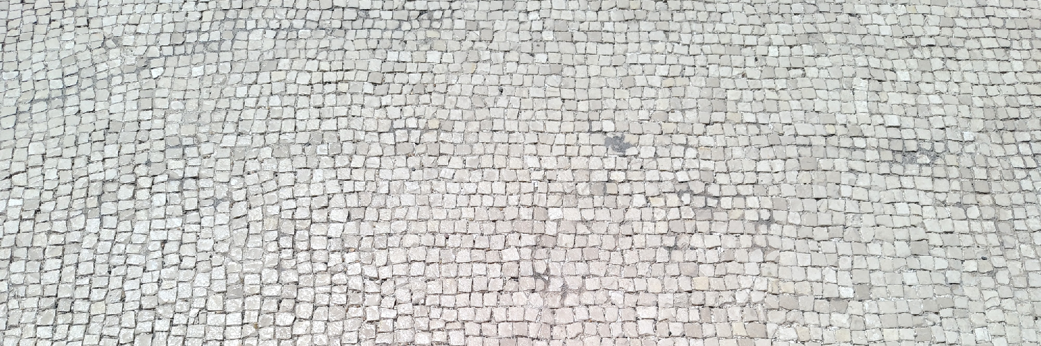 blunt's profile header