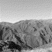 danipupy's profile header