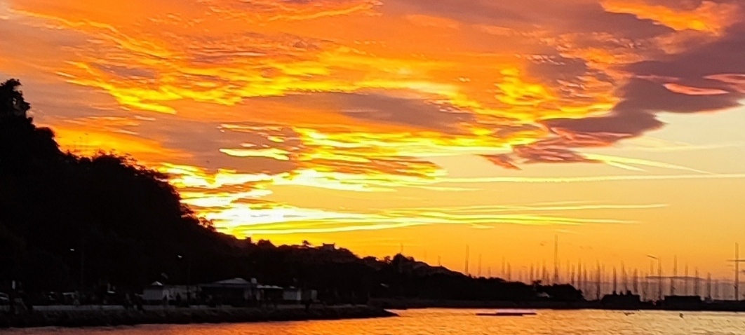 rubecula's profile header