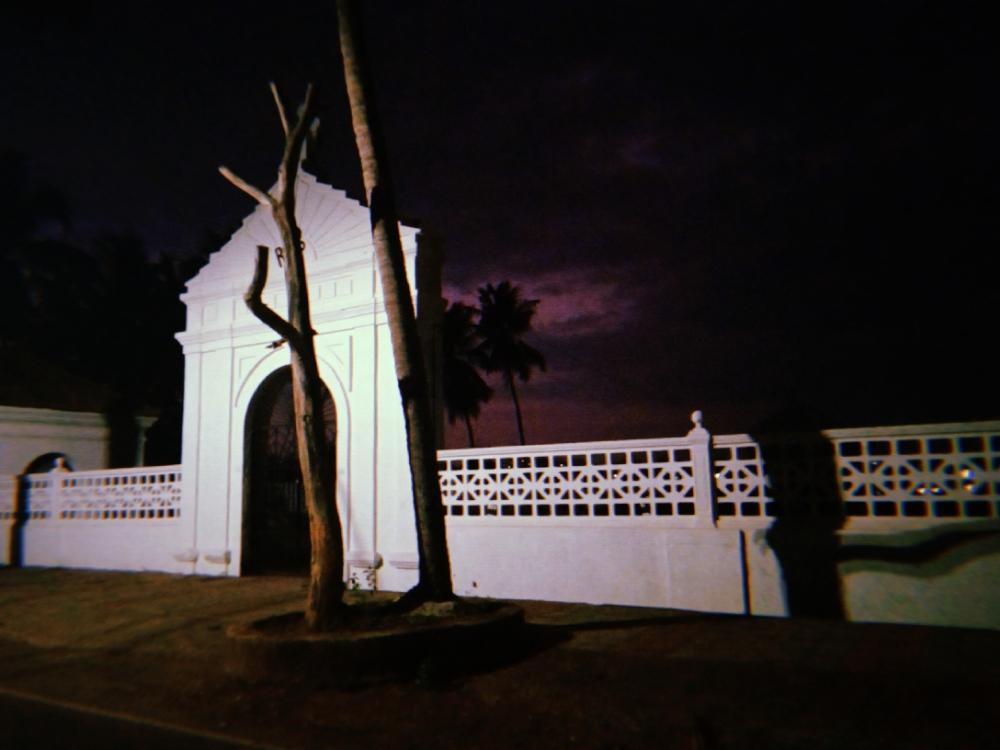 neoz's profile header