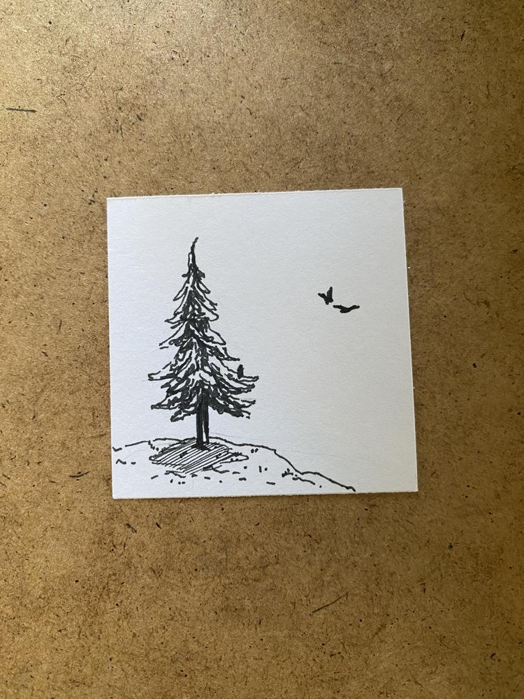 GishWithEDS's profile header