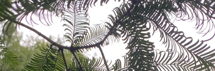 lashondalove's profile header