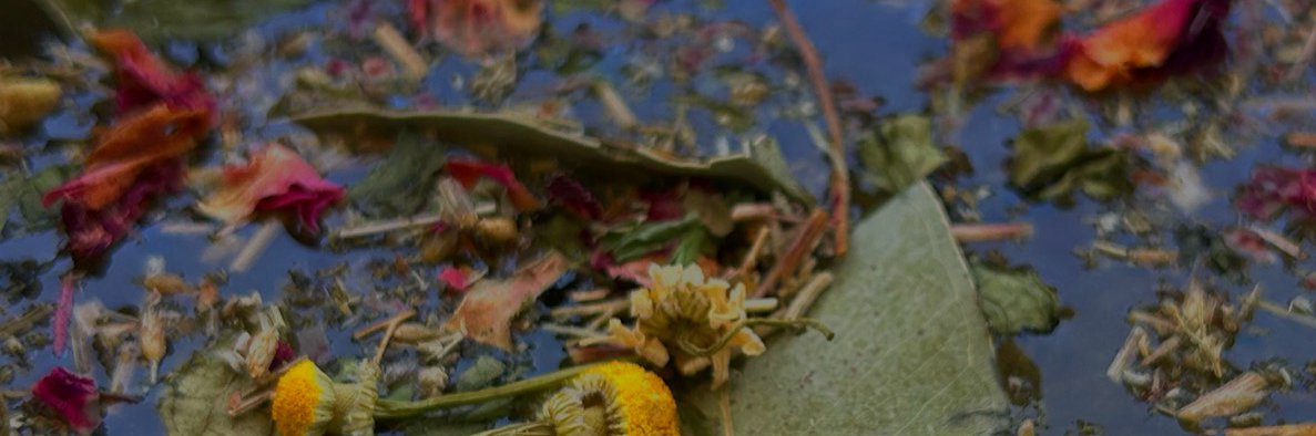 andrarenee's profile header