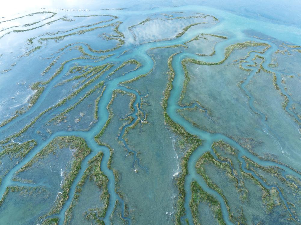 explorerviews's profile header