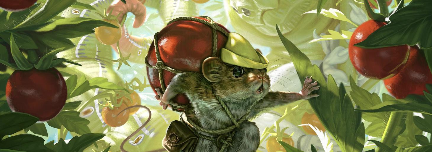 candice's profile header