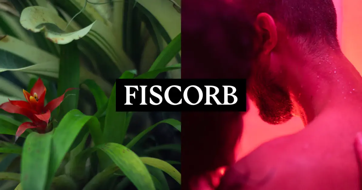fiscorb's profile header