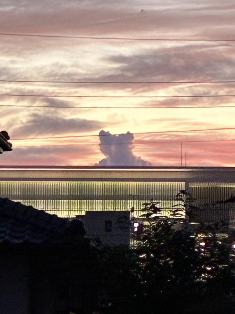 kuroneko's profile header