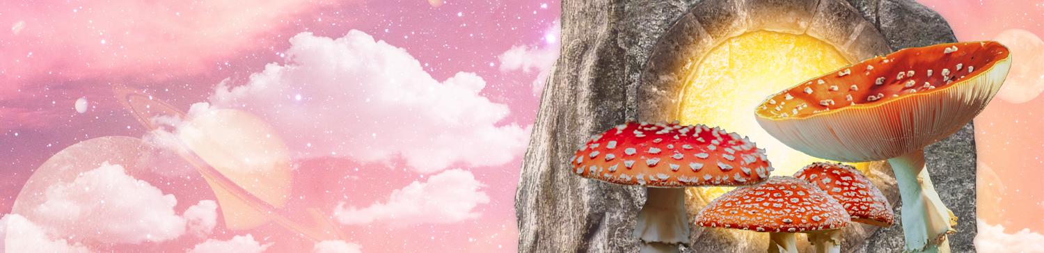 raiscagamor's profile header