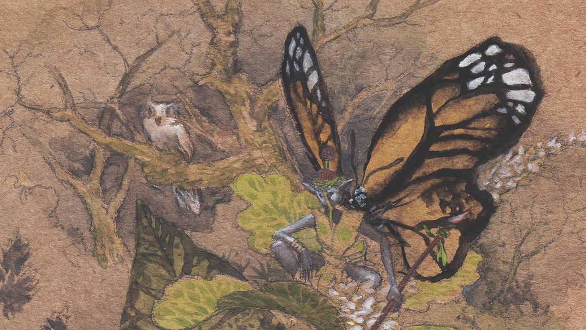 renatozechetto's profile header