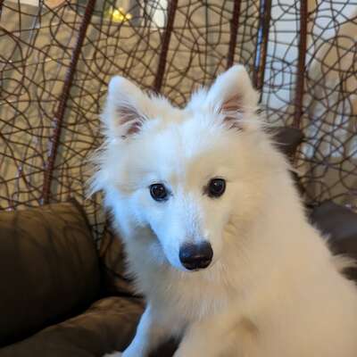 B_doggio's avatar
