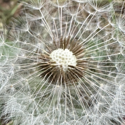 KarenStrickholm's avatar