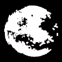 DamnCatOnMyDesk's avatar