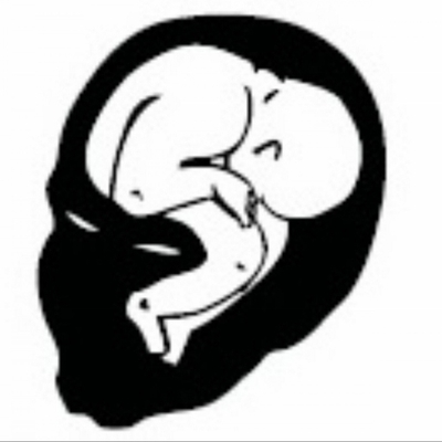 neurontosomething's avatar