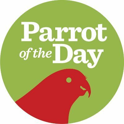 parrotoftheday's avatar