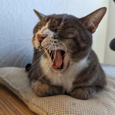 elmiller0330's avatar