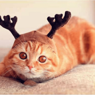 ConcatenatedNonsense's avatar