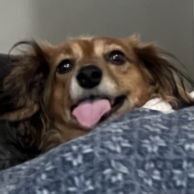 kayofthehill's avatar