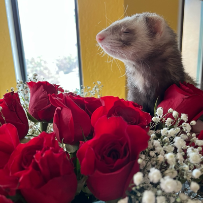 123johnjones's avatar