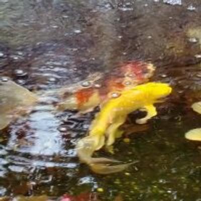 PhilipAndLarry01's avatar