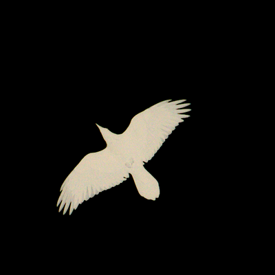 moonlightmyst's avatar