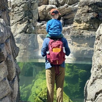 kayakpatrick's avatar