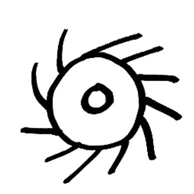 hamedtoledo's avatar