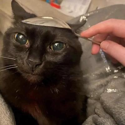 industrial_cream's avatar