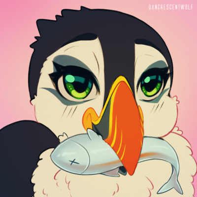 Puffin's avatar