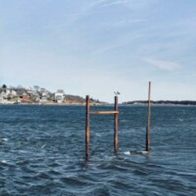 saltwater.film's avatar