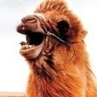 setembrochove's avatar