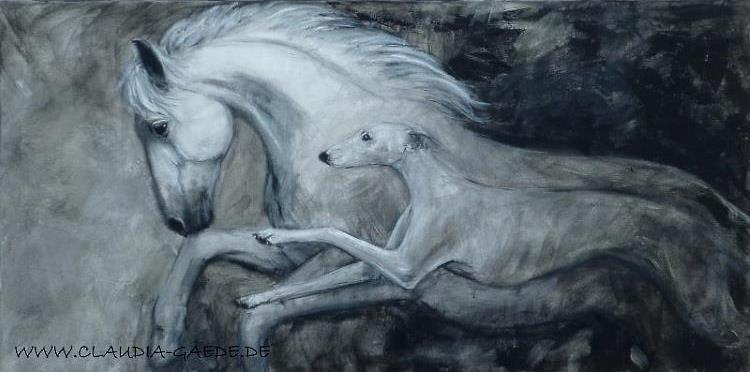 vattuvarg's profile header