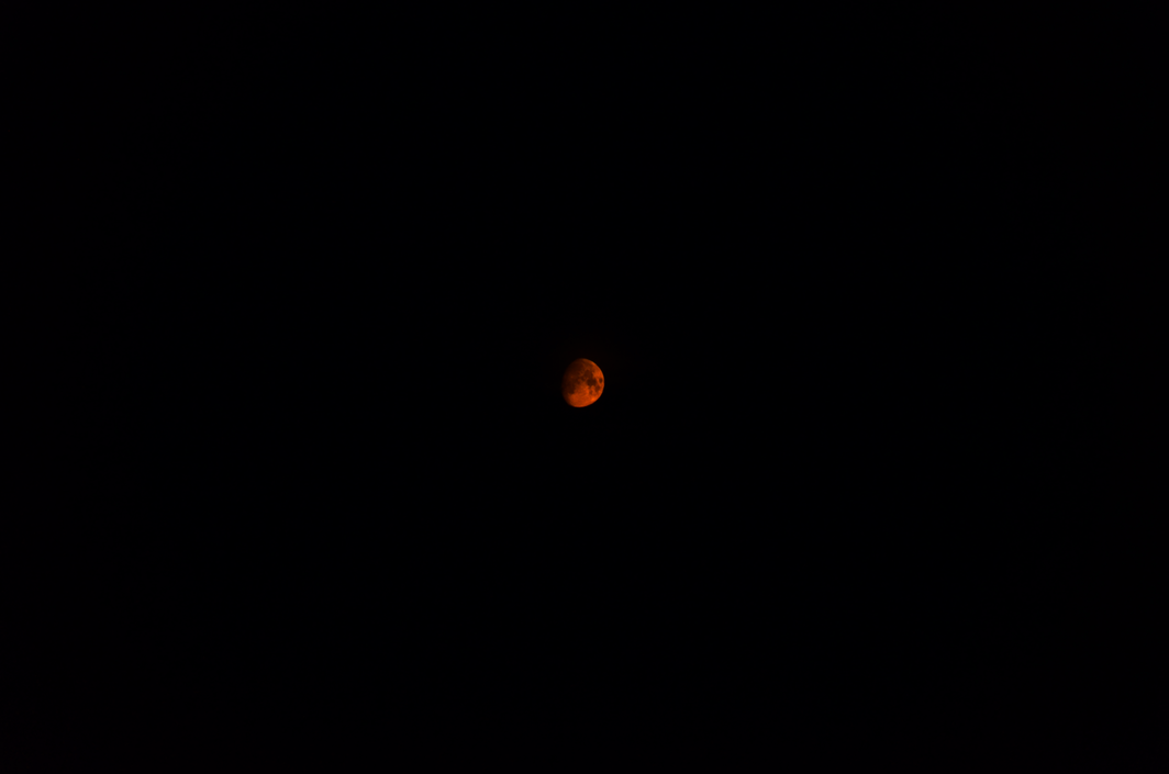 j12i's profile header