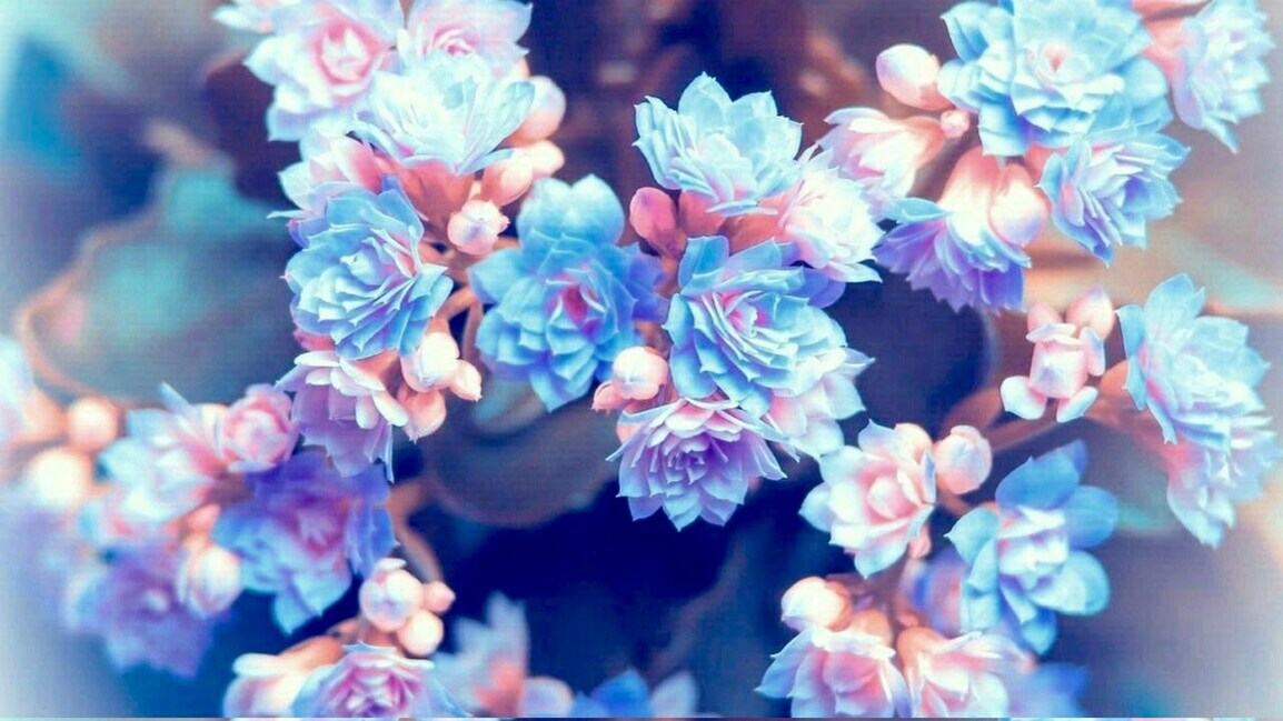 rain's profile header