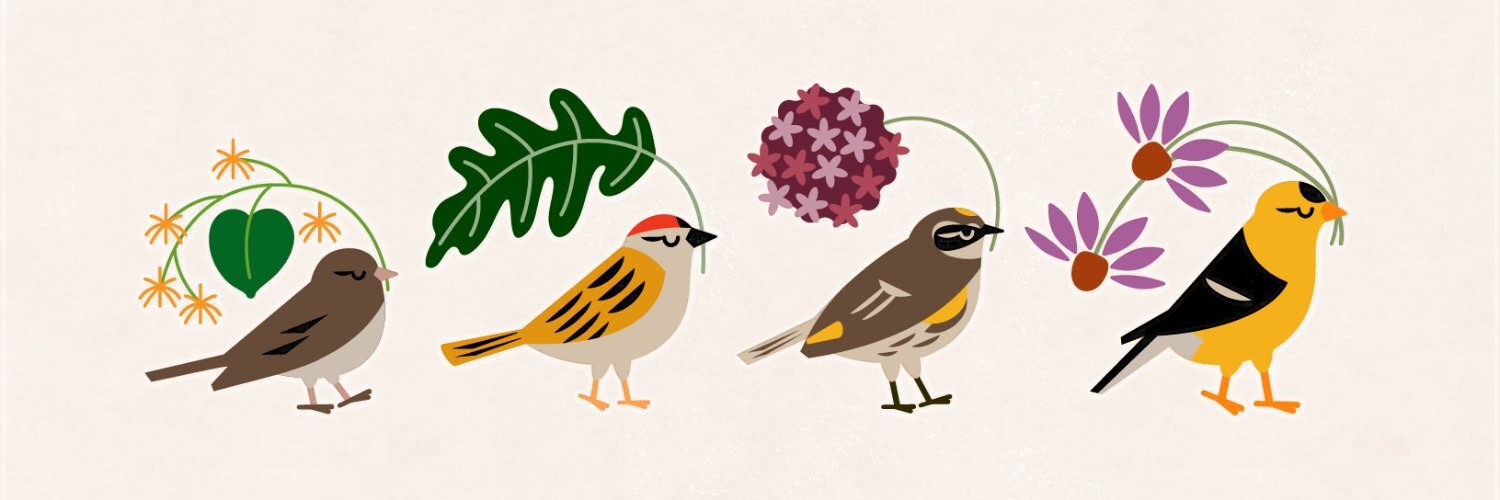 hootalex's profile header