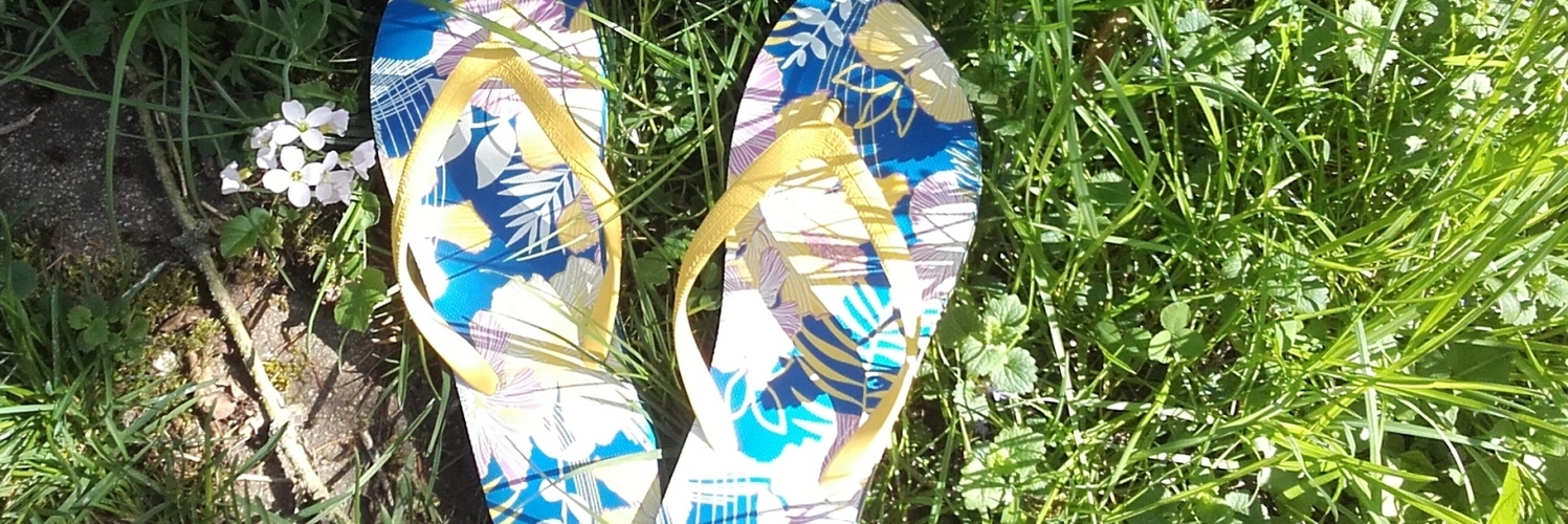 NatureMC's profile header