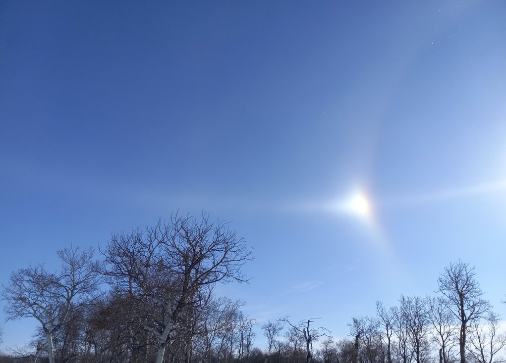 sundogplanets's profile header