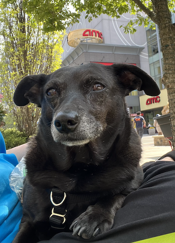 feoh's profile header