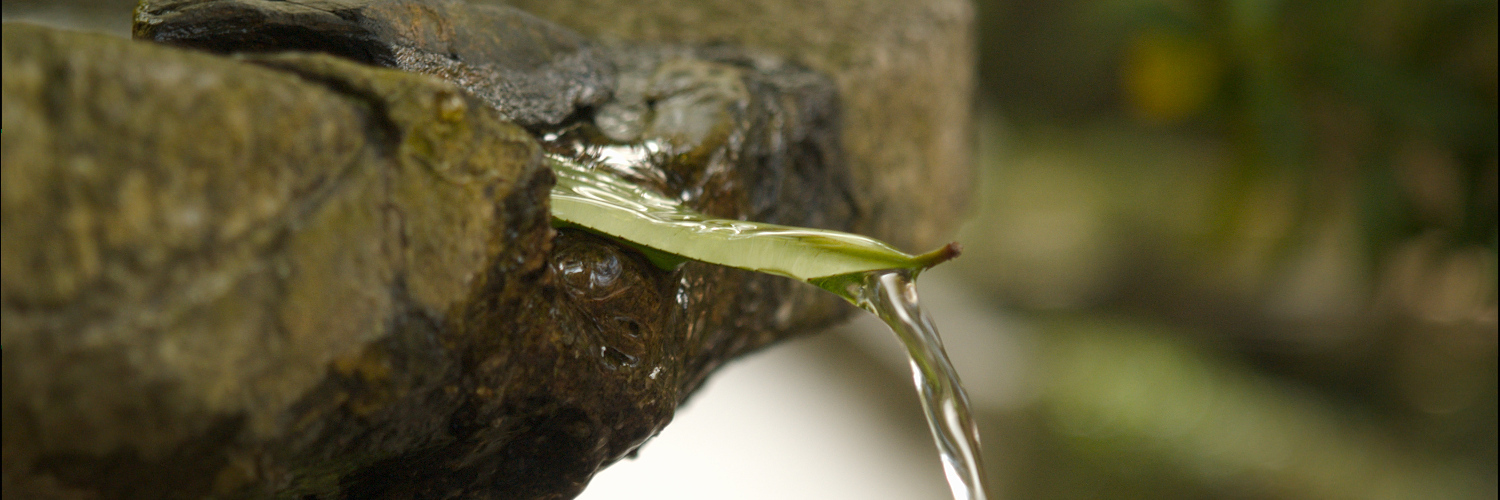 sergi's profile header