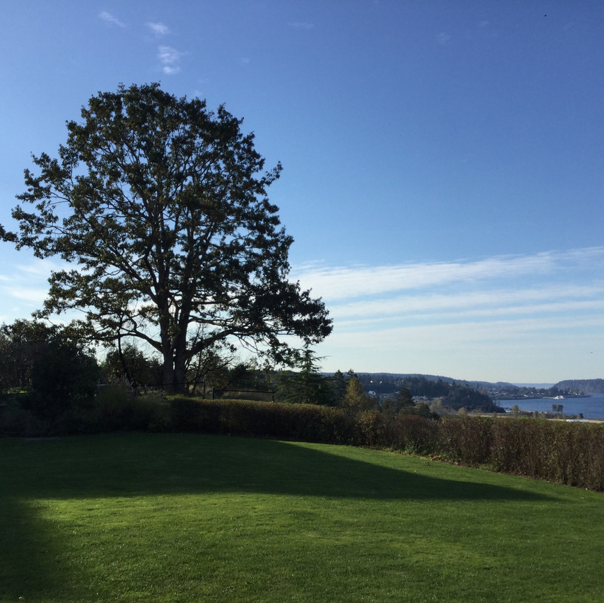 oldredsubby's profile header