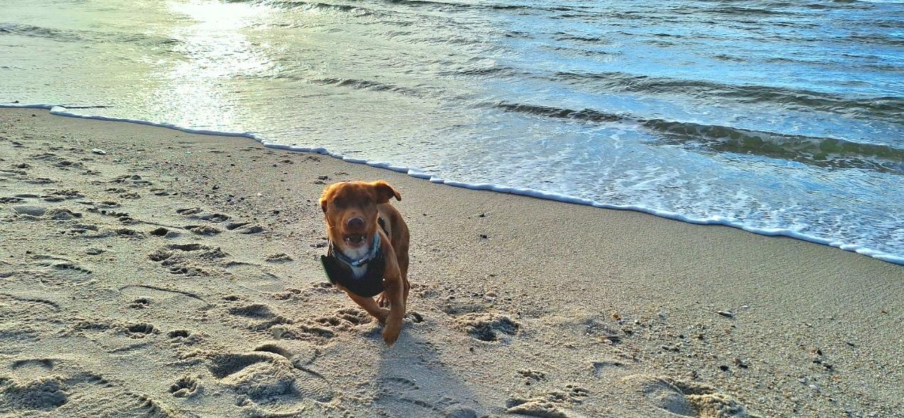 Sister_Mooon's profile header